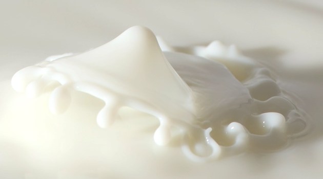 World Milk Day, milk, milk products, health benefits of milk, benefits of drinking milk, why you should drink milk, nutrients in milk, nutritious milk, low fat milk, is low fat milk healthy, lactose intolerant, milk for lactose intolerant, lactose free milk, dairy products, cheese, yoghurt, ice cream, milk myths, myths about milk