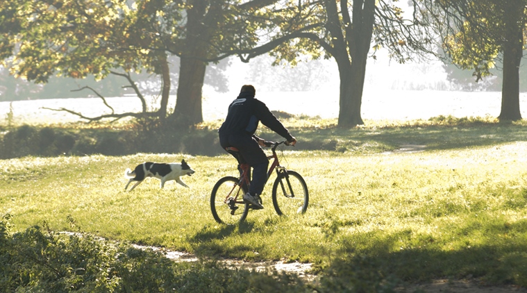 cycling, cycling for health, health benefits of cycling, cycling benefits, exercise and cycling, indian express, indian express news