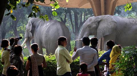 Delhi Zoo all set for renovation, authorities plan a ‘forest-like