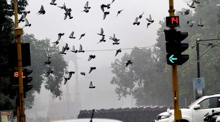 delhi, delhi weather, weather report, delhi weather report, new delhi weather, latest news, latest weather news, latest delhi news