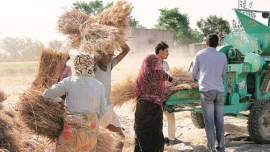 india agriculture, india population, india agriculture output, india news, india rural development, india farmers, india farmers suicide, india GDP, budget 2016