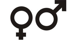 feminist, gender talks, Tata Lit Live! Evenings, Feminist Yassmin Abdel-Mageid, humour, gender issues, mumbai news, indian express news