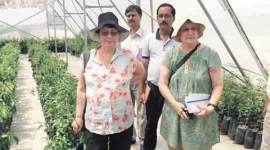 drip irrigation, fertigation, tissue culture, Indo-Israel Agricultural Project, India Israel relations, Indian farmers, india news
