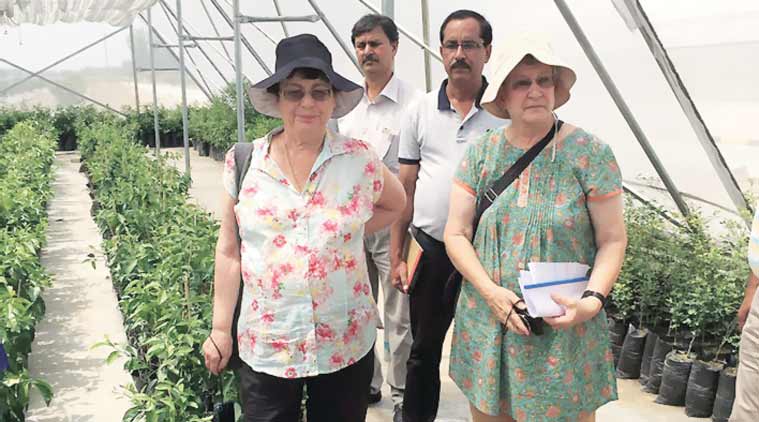 drip irrigation, fertigation, tissue culture, Indo-Israel Agricultural Project, India Israel relations, Indian farmers, india news