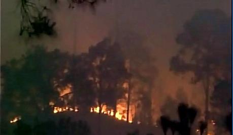 Forest fire rages in forest near Jammu-Poonch highway