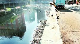 Kandivli double murder, Kandivli, double murder, Kandivli murder, Hema Upadhyay, Hema Upadhyay murder, Savitri Rajbhar, Vidyadhar Rajbhar, lawyer Harish Bhambhani, Harish Bhambhani murder, mumbai news, india news