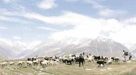 Himachal Pradesh, Jammu Kashmir, himachal jk border, himachal border, jk border, himachal border districts, jk border districs, rohtang pass, india news