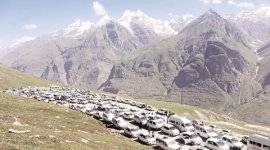 rohtang, rohtang tunnel, rohtang tunnel project, rohtang livelihood, lahaul spiti livelihood, tourism, National Commission for Scheduled Tribes , Lahaul-Spiti district, himachal pradesh snowfall, himachal pradesh, rohtang pass, Lahaul-Spiti tourism, ngt, isolation, heavy snowfall in rohtang, heavy rainfall in himachal pradesh, indian express news, india news, indian express hardlook