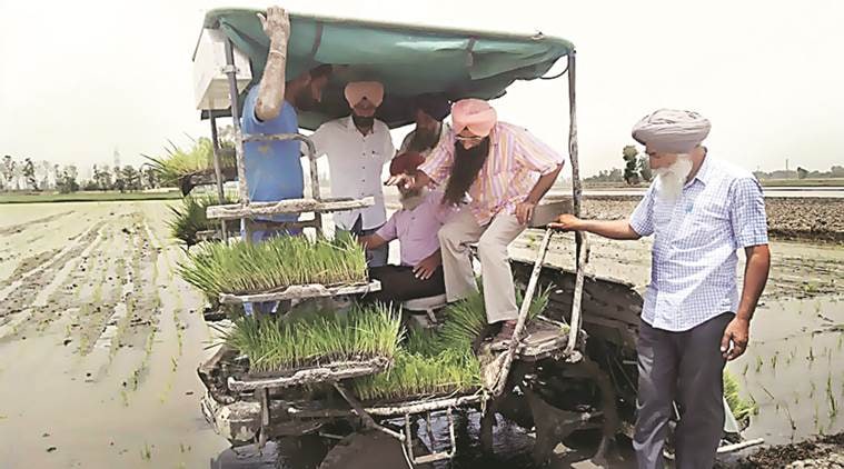 Paddy transplantation, Machine Paddy Transplantation, imported machines for farming, Machine farmers, Labour, agriculture development, India News