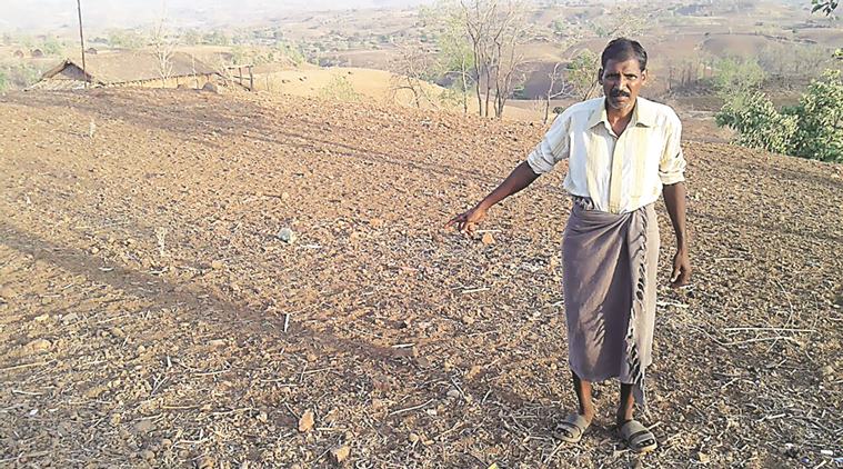 maharashtra government, nandurbar district, maharashtra nandurbar district, forest right act, tribals, maharashtra government probe, fund case, money laundering case, indian express news, india news