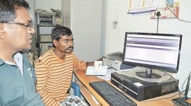 Maize, Nabarangpur, odisha, online auction, maize online auction, Maize production, odisha Maize, odisha Maize production, Nabarangpur Maize, india news