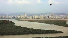 Maharashtra Government, BJP MP Gopal Shetty, Ministry of Environment, Forest and Climate Change, No Objection Certificate, Swachh Bharat Abhiyan, Latest news , India news, maharashtra news