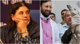 Maneka Gandhi, Prakash Javadekar, animal cruelty, vermin, environment ministry, ministry of environment and forests, animal killing india, monkey killing himachal, wild boar killing, government allows animal killing, animal rights india, animal cruelty by government, government killing animals, india news