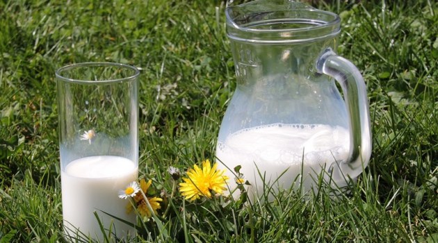 World Milk Day, milk, milk products, health benefits of milk, benefits of drinking milk, why you should drink milk, nutrients in milk, nutritious milk, low fat milk, is low fat milk healthy, lactose intolerant, milk for lactose intolerant, lactose free milk, dairy products, cheese, yoghurt, ice cream, milk myths, myths about milk