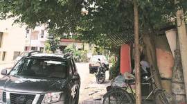 Chandigarh, Rock Garden, Sukhna Lake, Botanical Garden and Rose Garden, tree talk, Morus Nigra or the Mulberry, A Midsummer Night’s Dream, the story of Pyramus and Thisbe, Punjab News, latest news, India News