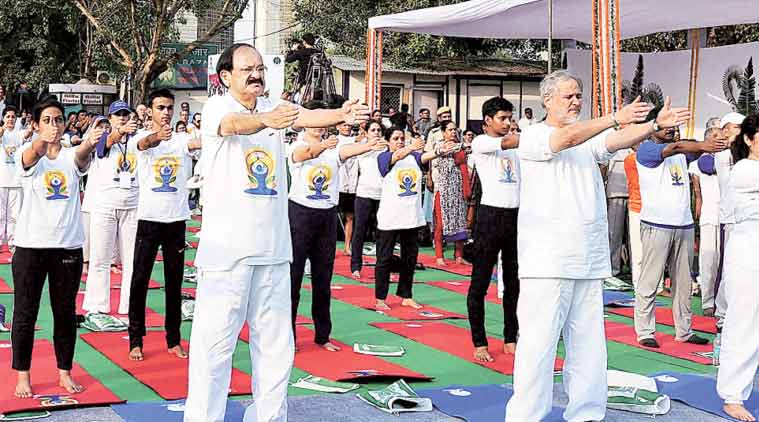 Venkaiah Naidu in Delhi. (Source: PTI)