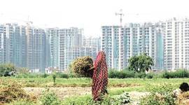 GNIDA, Noida Authority, noida, greater noida, noida housing projects, greater noida housing projects, houses in noida, houses in greater noida, buy house in noida, dream house, gaur city, NCR houses, house brokers in noida, indian express hardlook, indian express delhi