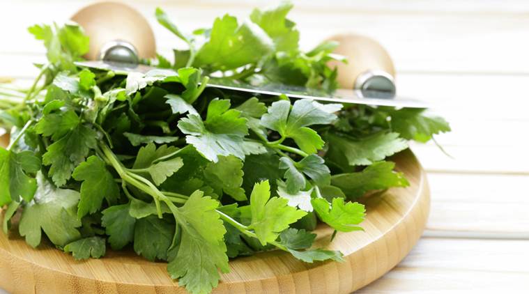 Parsley, dill, parsley and dill, cancer, cancer prevention, dill and parsley cancer, cancer parsley and dill, cancer cure, glaziovianin, natural cure cancer, health news, lifestyle news