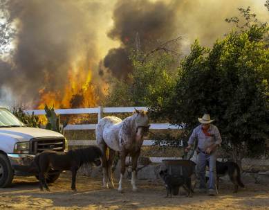 California wildfires, California, fire, wildfire, Erskine Fire, Erskine Fire California, California emergency, news, world news, California news, latest news, US news, international news, emergency California, Kern County Fire Department, Jerry Brown, wildfire California