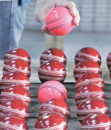 pink ball test, pink ball india, day night test, bengal cricket, bengal cricket league, bengal cricket pink ball, cricket news, cricket