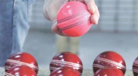 pink ball test, pink ball india, day night test, bengal cricket, bengal cricket league, bengal cricket pink ball, cricket news, cricket