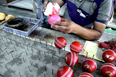 india cricket, cricket india, india cricket team, pink ball, pink ball test, day-night test, pink ball india, pink ball test india, india duleep trophy, cricket news, cricket