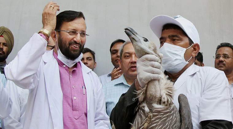 maneka gandhi, environment ministry, prakash javadekar, animal killing, killing of animals, ministry of forests and environment protection