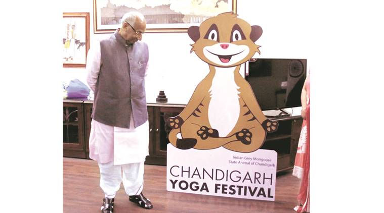 yoga, International Yoga Day, Chandigarh Yoga festival, Chandigarh yoga, Baba Ramdev, Ramdev, Ramdev yoga, Chandigarh yoga, yoga India