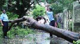 Pune, monsoon, Pune monsoon, Pune Municipal Corporation, PMC, Standard Operating Procedure, SOP, pune news