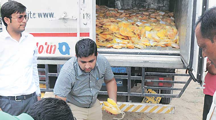 punjab, punjab blood racket, punjab white blood racket, punjab blood plasma racket, punjab fake blood plasma, punjab blood banks, punjab blood donation, punjab news, health news, india news, latest news