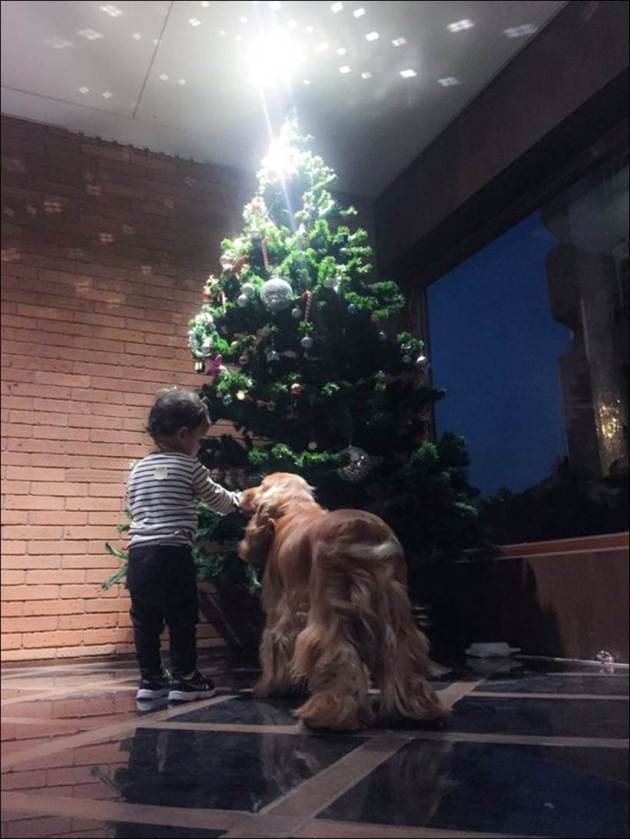 genelia dsouza, riteish deshmukh, riaan deshmukh, genelia son, riteish son, genelia son pics, riteish baby boy pics, entertainment