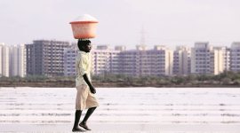 Salt in Maharashtra, Salt shortage rumours in Maharashtra news, latest news, India news, Maharashtra news