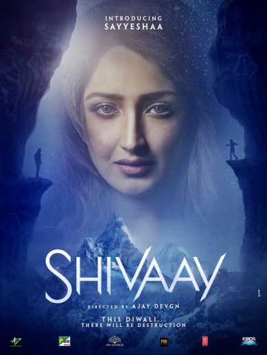 Shivaay, Shivaay new poster, Sayyeshaa, Shivaay Sayyeshaa, Sayyeshaa Shivaay poster, Ajay Devgn, Ajay Devgn Sayyeshaa, Shivaay movie, Shivaay leading lady, Shivaay lead actress, Entertainment news