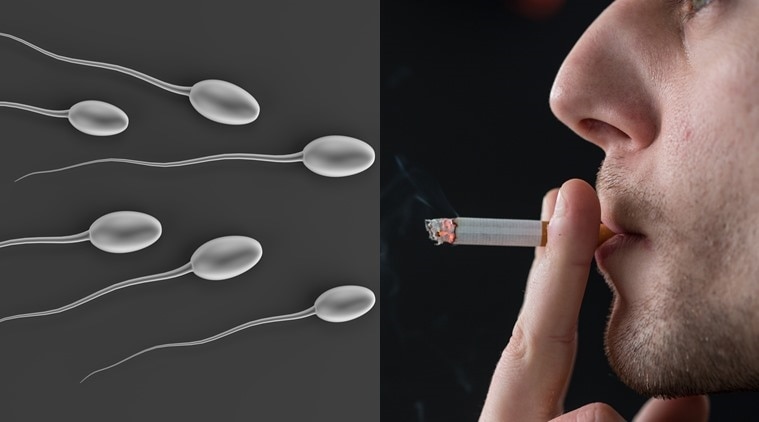 smoking-puts-your-sperm-at-risk-of-dna-damage-the-indian-express