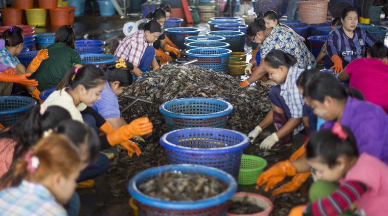 Thai Seafood industry, Cambodian villagers, lawsuit against US, villagers file lawsuit US, human trafficking in seafood industry, Thailand, United States, Walmart sea food, world news, Thailand news