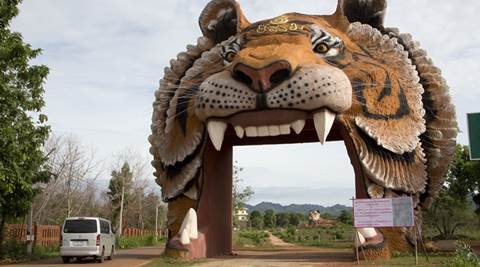 Tiger Temple Defends Abott as Authorities Find Fresh Evidence