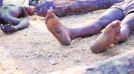 Tirupati encounter, Andhra red sanders encounter, Seshachalam forest, Seshachalam forest encounter, Chittoor encounter, J Jayalalithaa, 20 woodcutters killed, Tirupathi encounter, Tirupathi encounter falmilies, red sanders encounter, Sekhar Tirupati encounter, Indian express