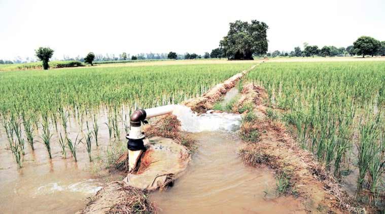 1.25 Lakh New Tube Wells May Deepen Punjab’s Groundwater Troubles ...