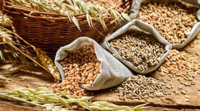 Diet diary, diet grains, grains, millets, diets, Indian Express