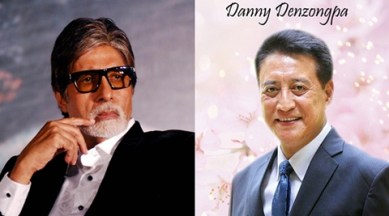 Danny Denzongpa rues the lack of quality roles for actors who are above 60 years of age saying unless one is Amitabh Bachchan, there's nothing substantial.