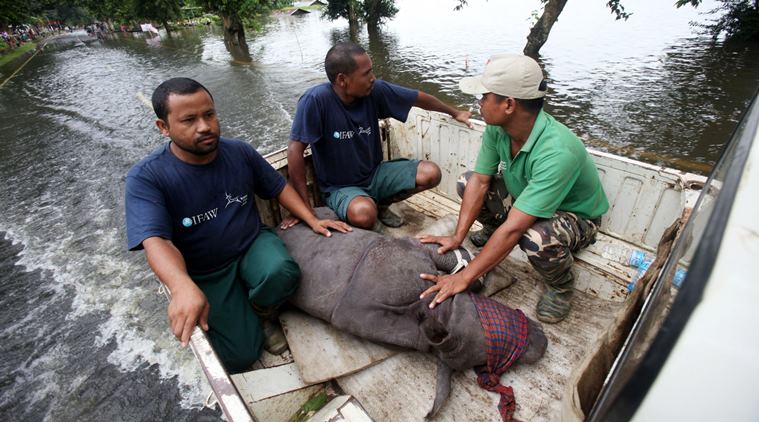 Assam, Assam floods, Assam flood situation, Assam flood, Sarbananda sonowal, 