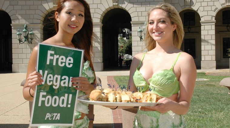 bikini peta lettuce ladies_759_Peta dot org