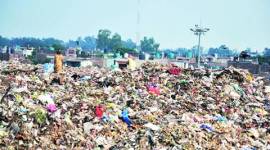 chandigarh, chandigarh newsline, chandigarh garbage, dadumajra, dadumajra garbage, dadumajra dump, chandigarh dumping, chandigarh health, chandigarh news