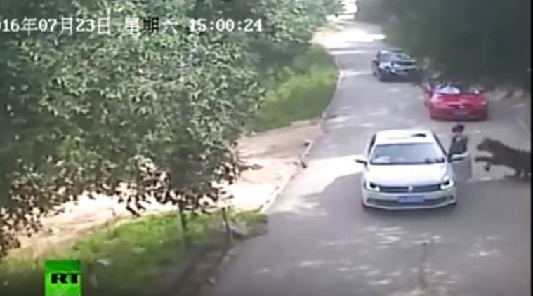 In the shocking footage posted on social media, a woman is seen stepping out of her car and going to the other side. (Source: YouTube screen grab)