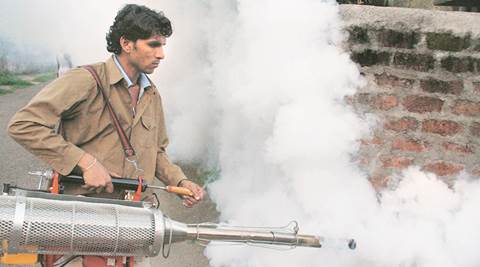 Centre Asks SDMC To Compile Report On Chikungunya, Dengue Cases In ...