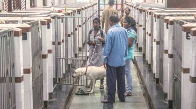 No medicine supplied to Noida animal hospital for a month, claim volunteers  | Cities News,The Indian Express
