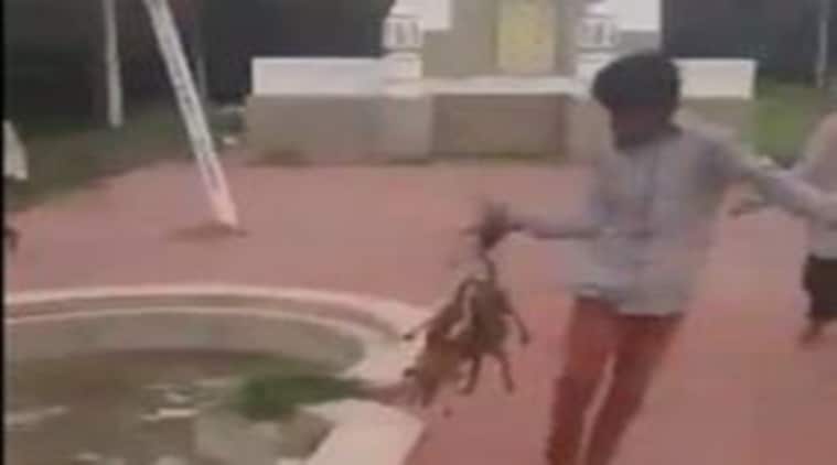 dog burning alive dog burning alive