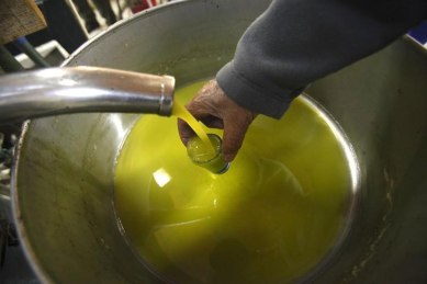 Mustard oil, Mustard oil prices, wholesale oils and oilseeds market, non-edible oils, other edible and non-edible oils, mustard expeller (Dadri)oil, Oil prices, oil Pirices and market, latest news, India news