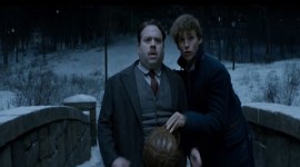 Fantastic Beasts And Where To Find Them, Eddie Redmayne, JK Rwoling, trailer