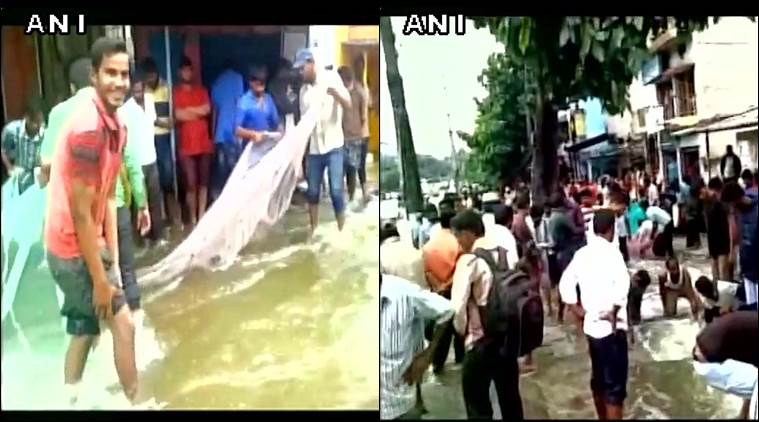 Locals attempt to catch fish on the streets in Bengaluru. (Source: ANI)